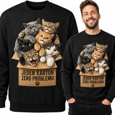 Bluza męska bez kaptura z kotami „Jeden karton zero problemu” - koci humor